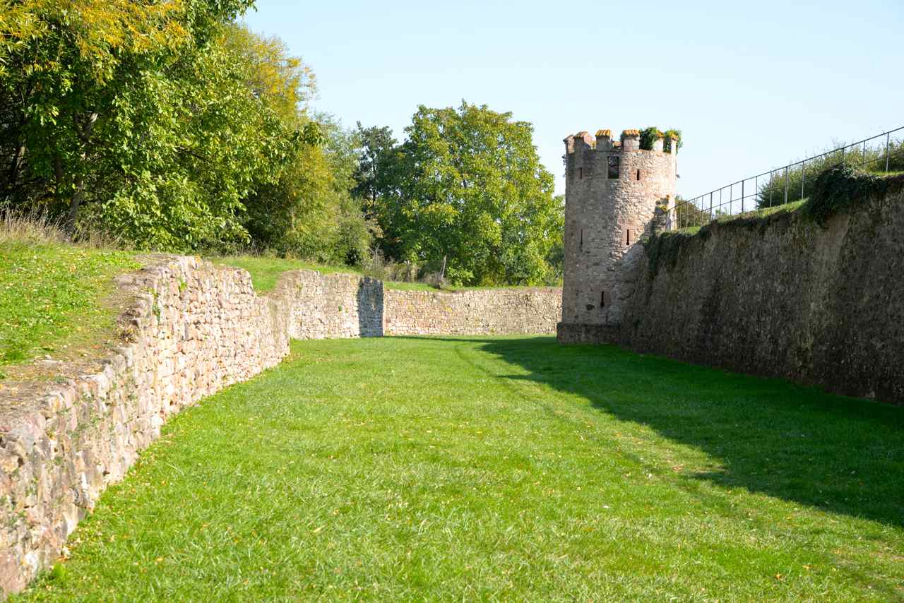 Bergheim